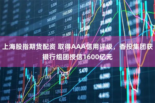 上海股指期货配资 取得AAA信用评级，香投集团获银行组团授信1600亿元