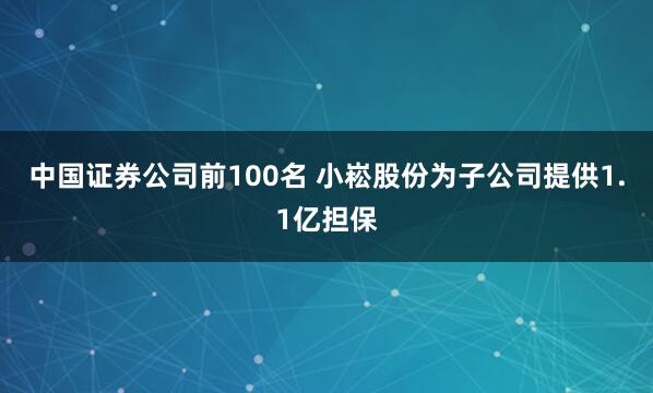 中国证券公司前100名 小崧股份为子公司提供1.1亿担保