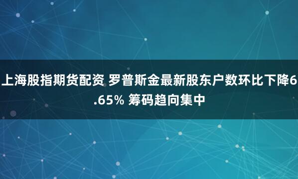 上海股指期货配资 罗普斯金最新股东户数环比下降6.65% 筹码趋向集中