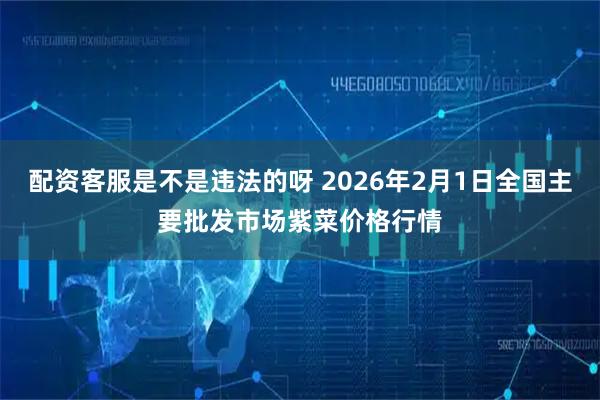 配资客服是不是违法的呀 2026年2月1日全国主要批发市场紫菜价格行情